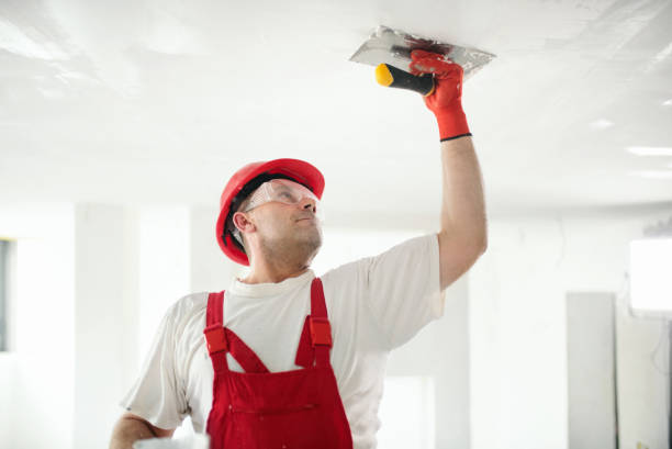 Mold Odor Removal Services in West Cape May, NJ